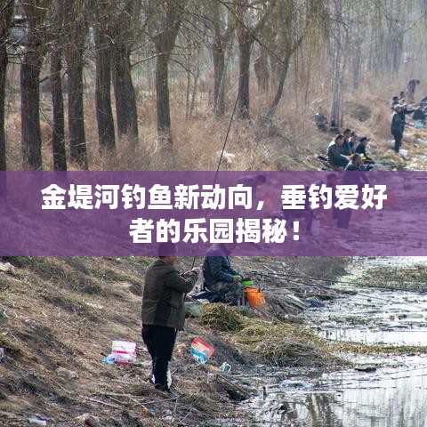 金堤河钓鱼新动向，垂钓爱好者的乐园揭秘！
