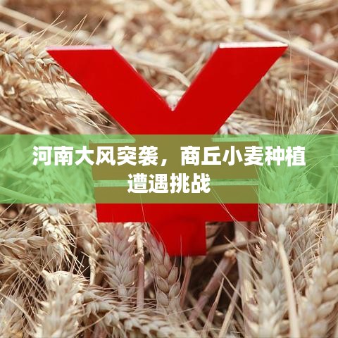 富贵荣华