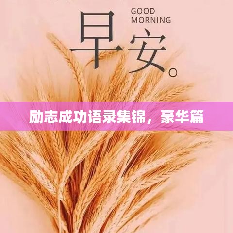 励志成功语录集锦，豪华篇