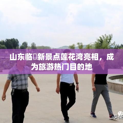 山东临澐新景点莲花湾亮相，成为旅游热门目的地