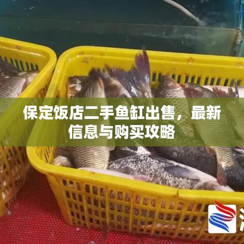 百不得一
