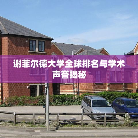 谢菲尔德大学全球排名与学术声誉揭秘