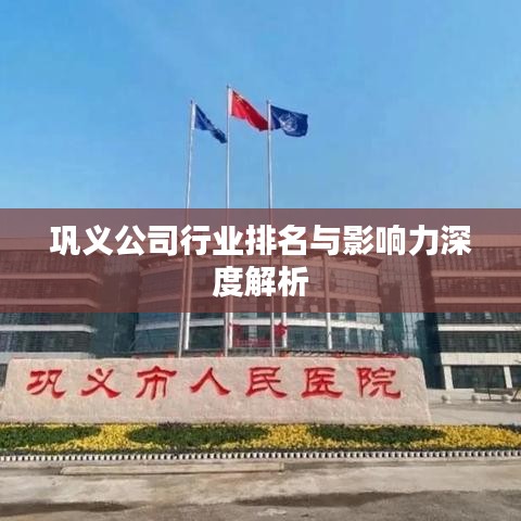 巩义公司行业排名与影响力深度解析