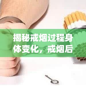 七贵三公