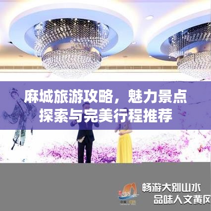 飞禽走兽