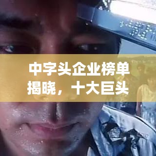 越鸟南栖