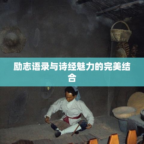 励志语录与诗经魅力的完美结合