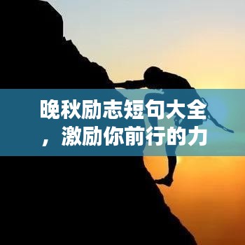 贵耳贱目