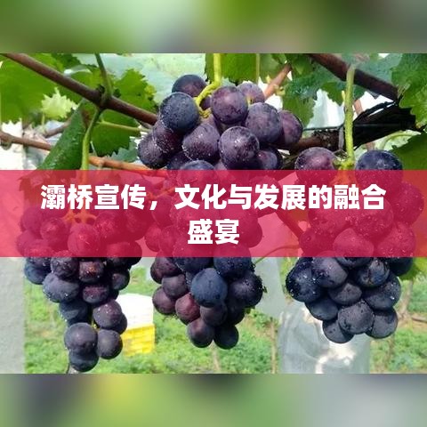 灞桥宣传，文化与发展的融合盛宴