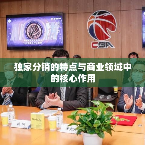 独家分销的特点与商业领域中的核心作用