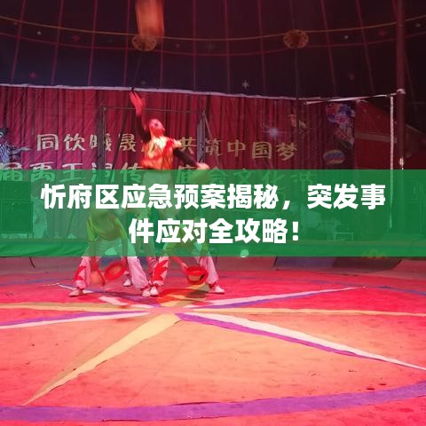 忻府区应急预案揭秘，突发事件应对全攻略！