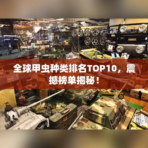 全球甲虫种类排名TOP10，震撼榜单揭秘！