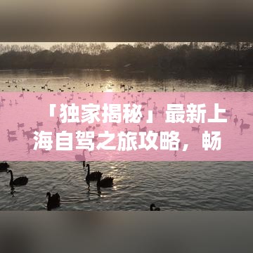 「独家揭秘」最新上海自驾之旅攻略，畅游魔都不迷路
