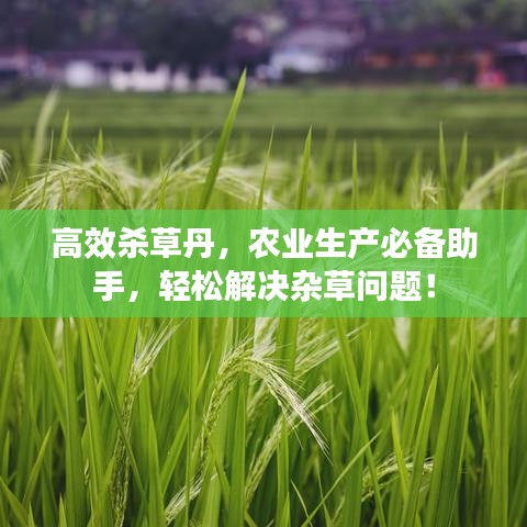 高效杀草丹，农业生产必备助手，轻松解决杂草问题！