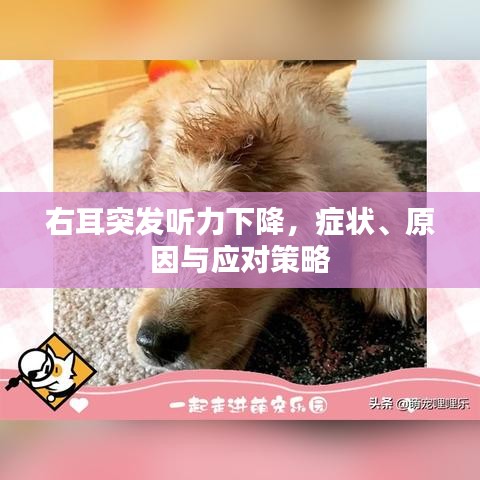 右耳突发听力下降，症状、原因与应对策略