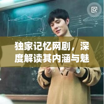 独家记忆网剧，深度解读其内涵与魅力