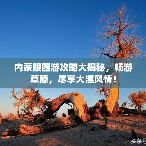 内蒙跟团游攻略大揭秘，畅游草原，尽享大漠风情！