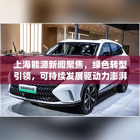 上海能源新闻聚焦，绿色转型引领，可持续发展驱动力澎湃