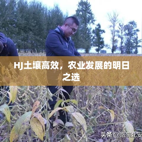 HJ土壤高效，农业发展的明日之选