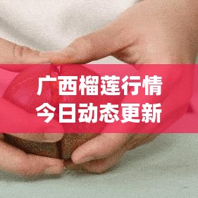 广西榴莲行情今日动态更新，最新市场消息速递