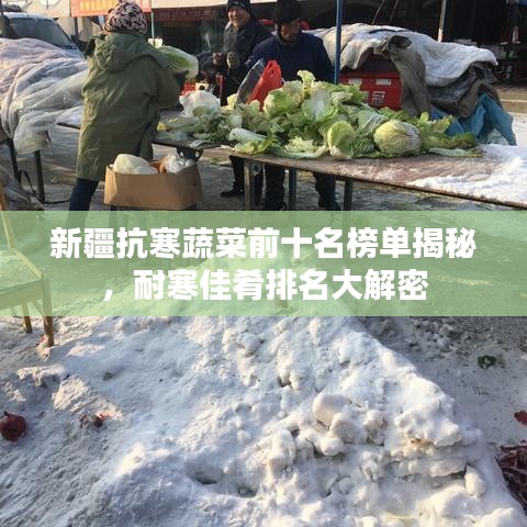 新疆抗寒蔬菜前十名榜单揭秘，耐寒佳肴排名大解密