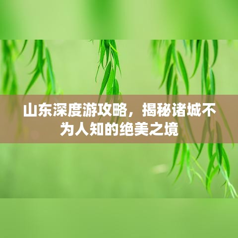 山东深度游攻略，揭秘诸城不为人知的绝美之境