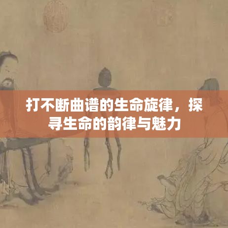 打不断曲谱的生命旋律，探寻生命的韵律与魅力
