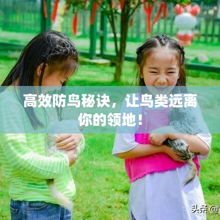 高效防鸟秘诀，让鸟类远离你的领地！