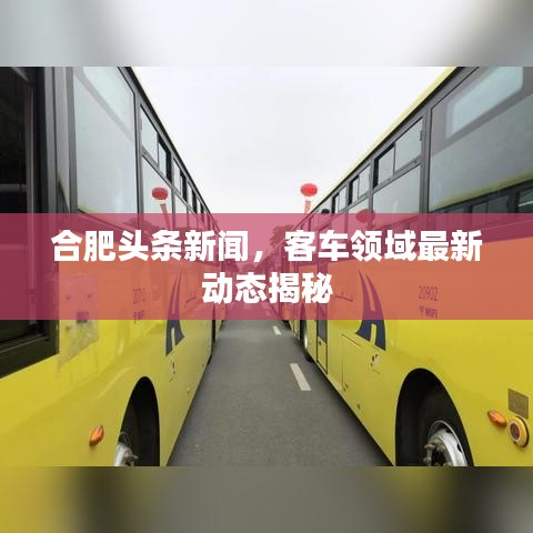合肥头条新闻，客车领域最新动态揭秘