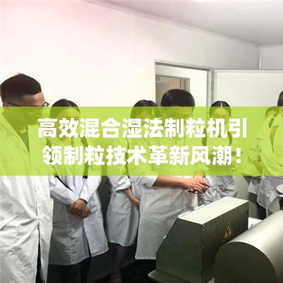 高效混合湿法制粒机引领制粒技术革新风潮！