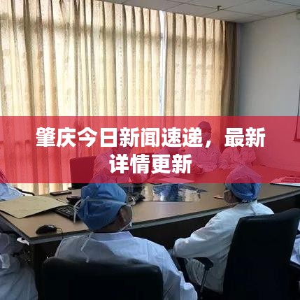 肇庆今日新闻速递，最新详情更新