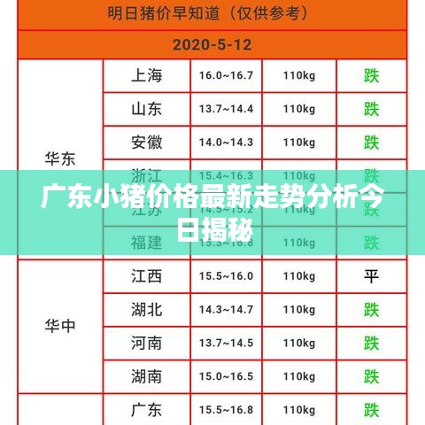 广东小猪价格最新走势分析今日揭秘