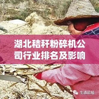 湖北秸秆粉碎机公司行业排名及影响力揭秘