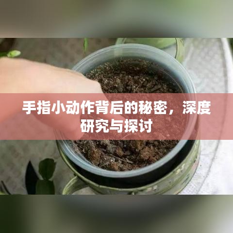 手指小动作背后的秘密，深度研究与探讨