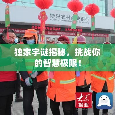 独家字谜揭秘，挑战你的智慧极限！