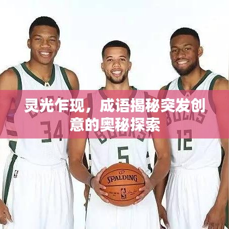 灵光乍现，成语揭秘突发创意的奥秘探索