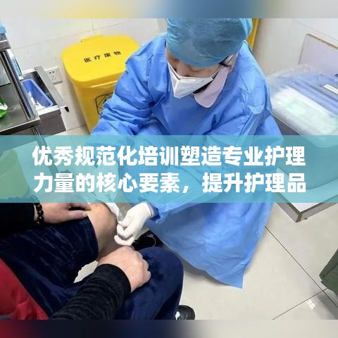 优秀规范化培训塑造专业护理力量的核心要素，提升护理品质