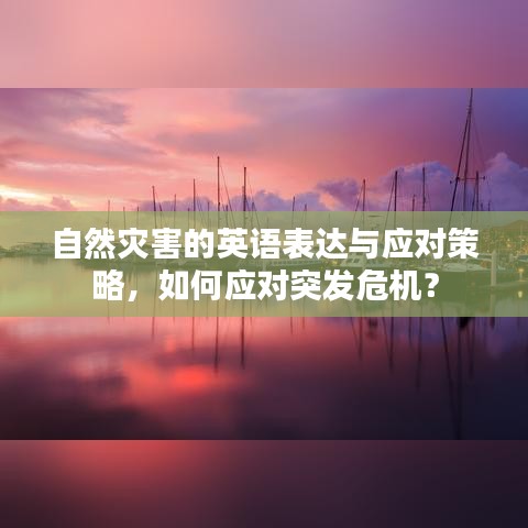 自然灾害的英语表达与应对策略，如何应对突发危机？