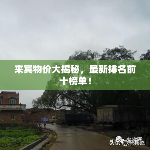 来宾物价大揭秘，最新排名前十榜单！