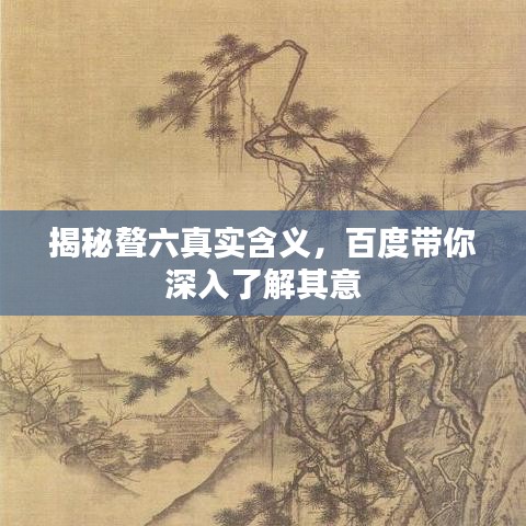 2025年6月8日