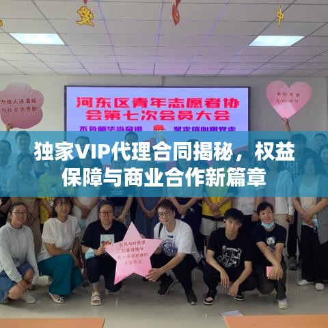 独家VIP代理合同揭秘，权益保障与商业合作新篇章
