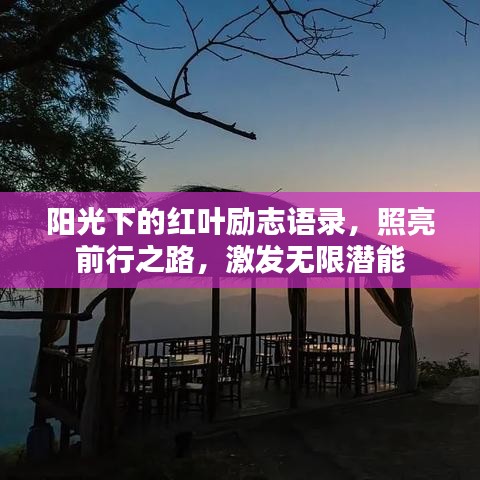阳光下的红叶励志语录，照亮前行之路，激发无限潜能