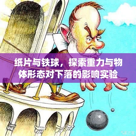 鸷鸟不群