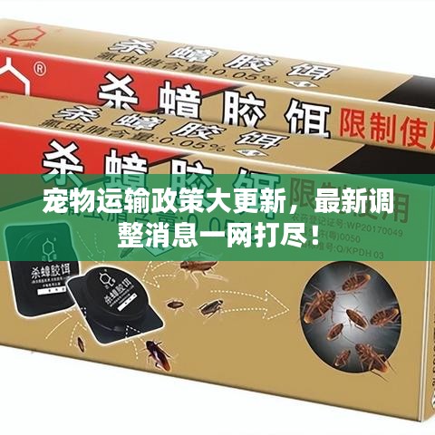 宠物运输政策大更新，最新调整消息一网打尽！