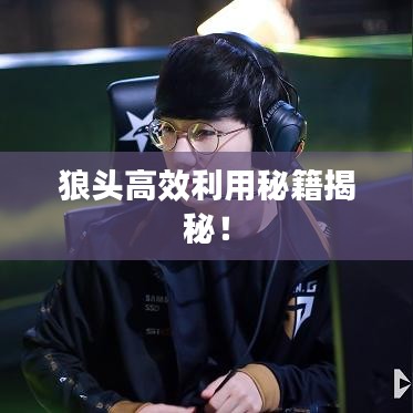狼头高效利用秘籍揭秘！