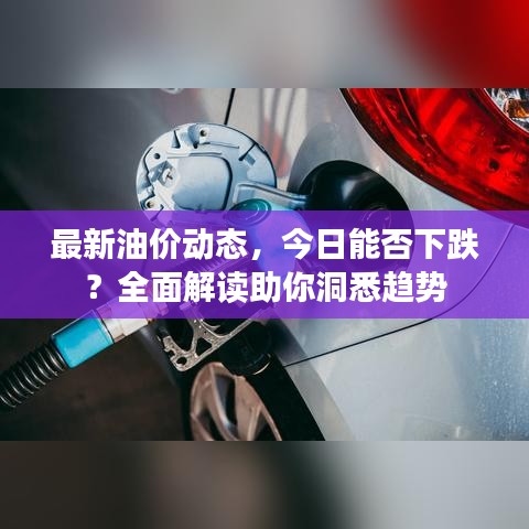 最新油价动态，今日能否下跌？全面解读助你洞悉趋势