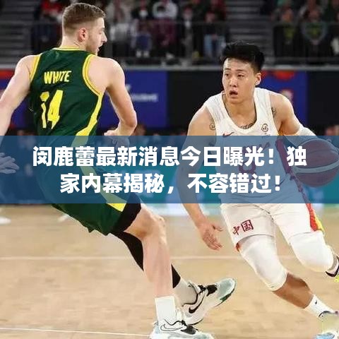闵鹿蕾最新消息今日曝光！独家内幕揭秘，不容错过！