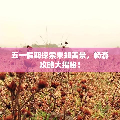 五一假期探索未知美景，畅游攻略大揭秘！