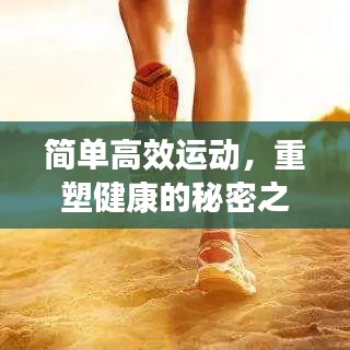 简单高效运动，重塑健康的秘密之道