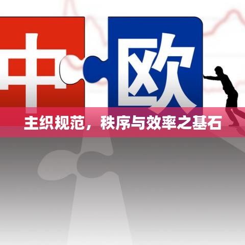 主织规范，秩序与效率之基石
